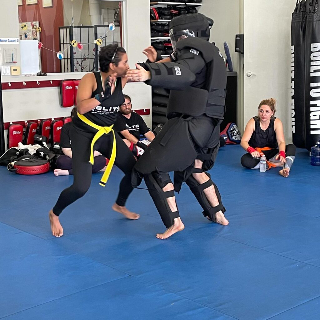 womens self defense training Redondo Beach