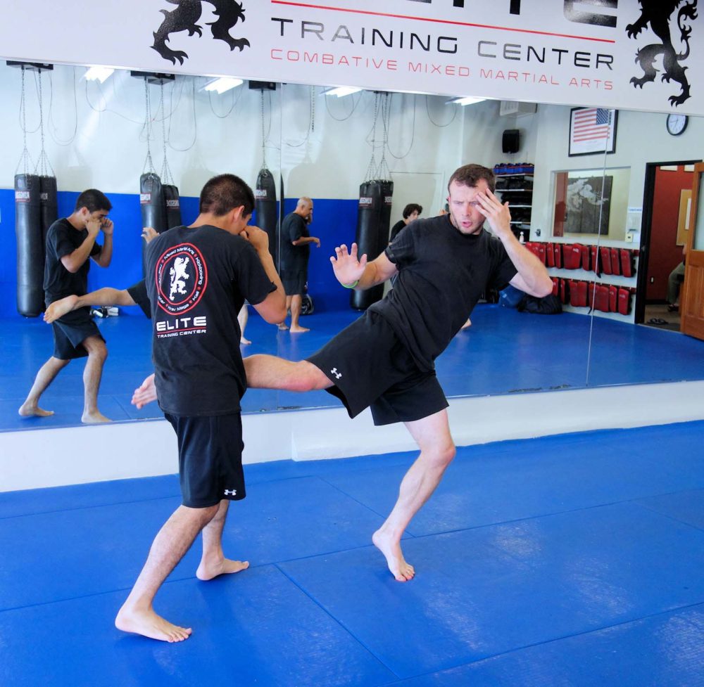 MMA Training class kicking