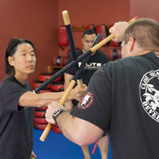 kali silat filipino martial arts training